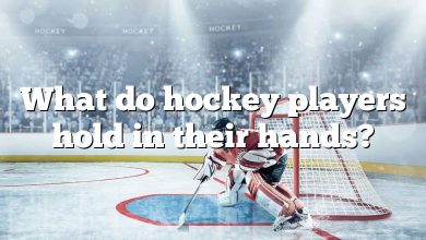 What do hockey players hold in their hands?