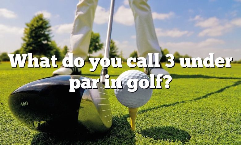What do you call 3 under par in golf?