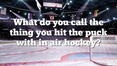 What do you call the thing you hit the puck with in air hockey?