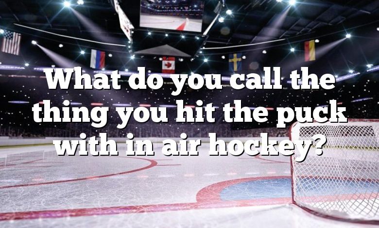What do you call the thing you hit the puck with in air hockey?
