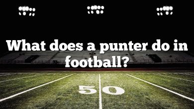 What does a punter do in football?