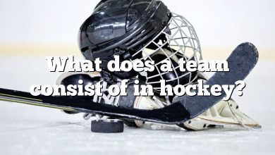 What does a team consist of in hockey?