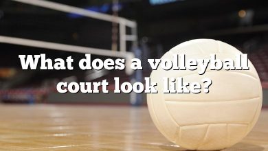 What does a volleyball court look like?