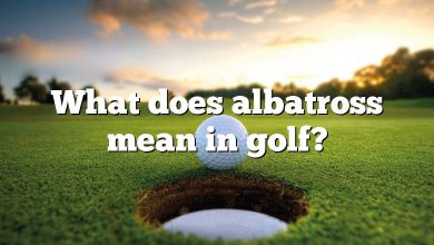 What does albatross mean in golf?