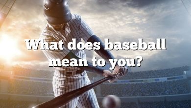 What does baseball mean to you?