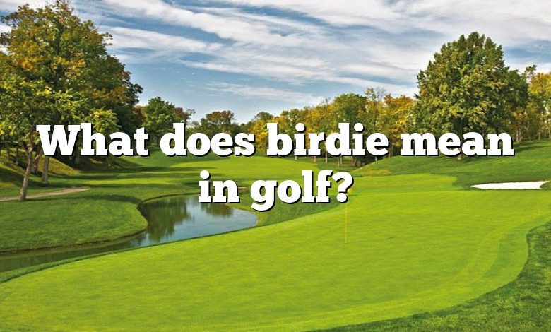 What does birdie mean in golf?