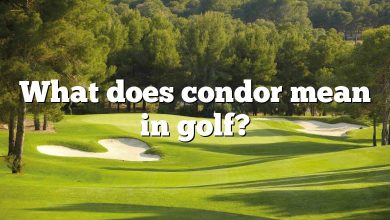 What does condor mean in golf?