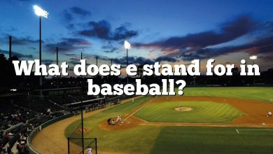 What does e stand for in baseball?