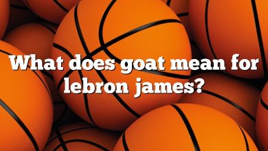 What does goat mean for lebron james?