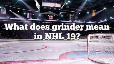What does grinder mean in NHL 19?