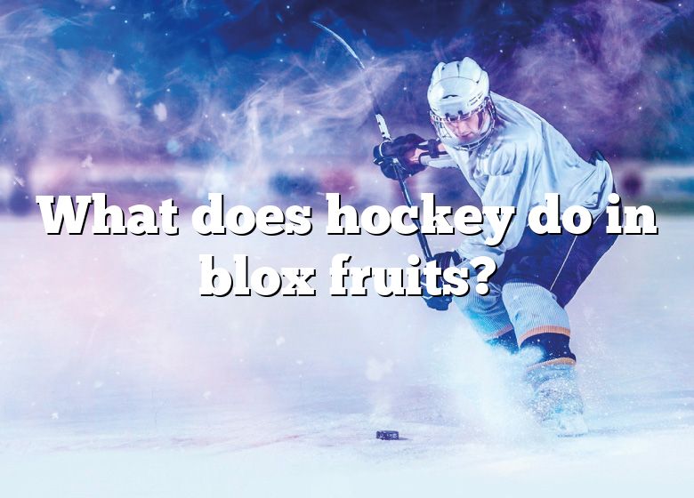 What Does Hockey Do In Blox Fruits? | DNA Of SPORTS