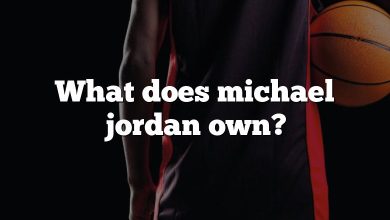 What does michael jordan own?