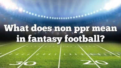 What does non ppr mean in fantasy football?