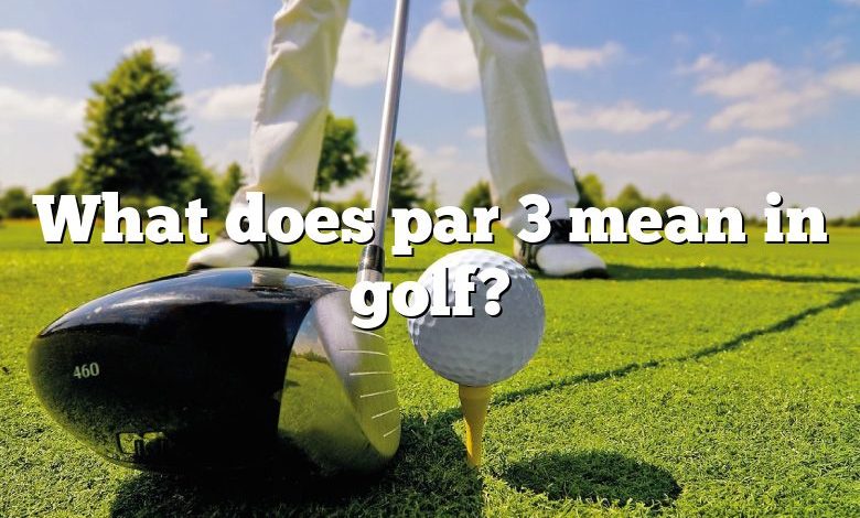 What does par 3 mean in golf?