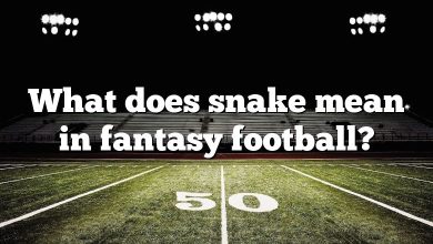 What does snake mean in fantasy football?