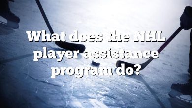 What does the NHL player assistance program do?