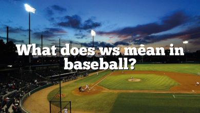 What does ws mean in baseball?