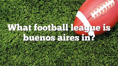 What football league is buenos aires in?