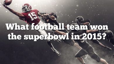What football team won the superbowl in 2015?