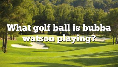 What golf ball is bubba watson playing?