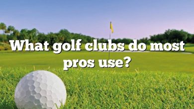 What golf clubs do most pros use?