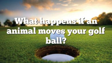 What happens if an animal moves your golf ball?