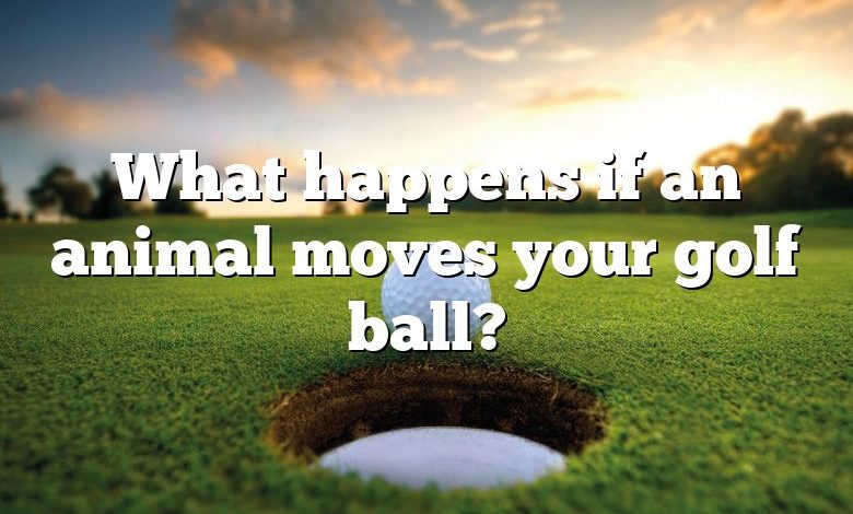 What happens if an animal moves your golf ball?