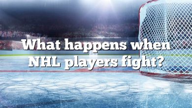 What happens when NHL players fight?