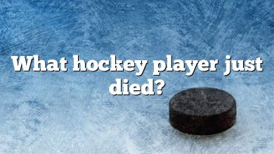 What hockey player just died?