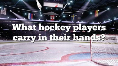 What hockey players carry in their hands?