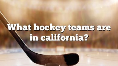 What hockey teams are in california?