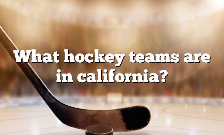 What hockey teams are in california?