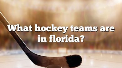 What hockey teams are in florida?