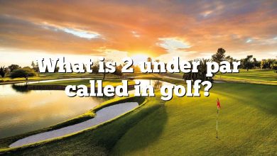 What is 2 under par called in golf?