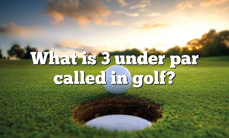 What is 3 under par called in golf?