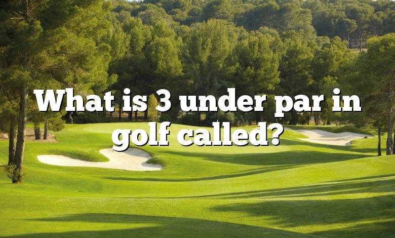 What is 3 under par in golf called?