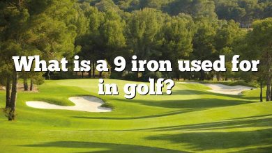 What is a 9 iron used for in golf?