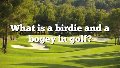 What is a birdie and a bogey in golf?