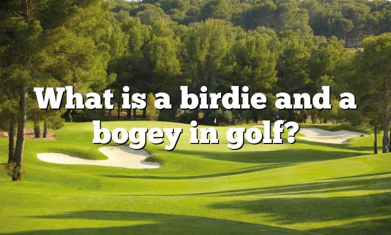 What is a birdie and a bogey in golf?