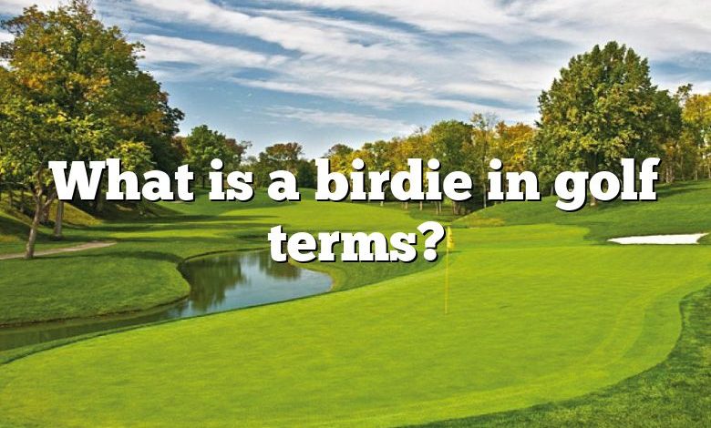 What is a birdie in golf terms?