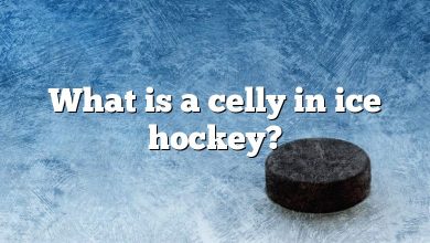 What is a celly in ice hockey?
