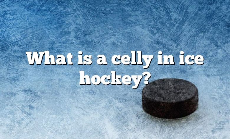 What is a celly in ice hockey?
