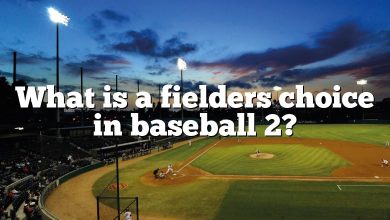 What is a fielders choice in baseball 2?