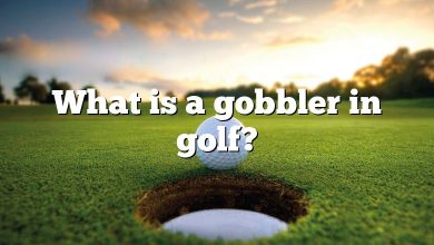What is a gobbler in golf?