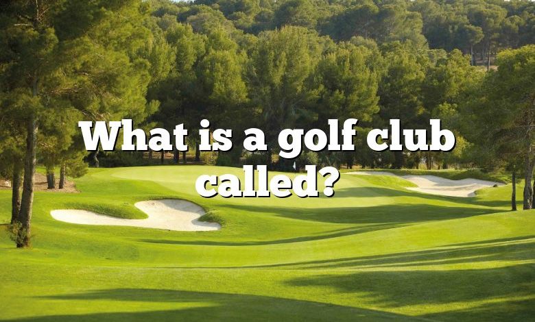 What is a golf club called?