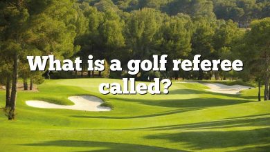 What is a golf referee called?