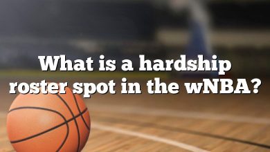 What is a hardship roster spot in the wNBA?