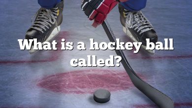 What is a hockey ball called?