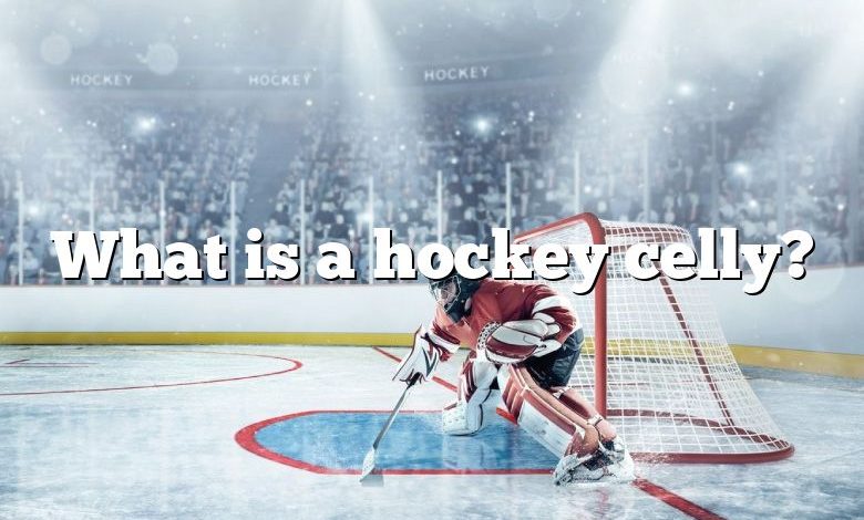 What is a hockey celly?