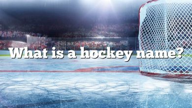 What is a hockey name?
